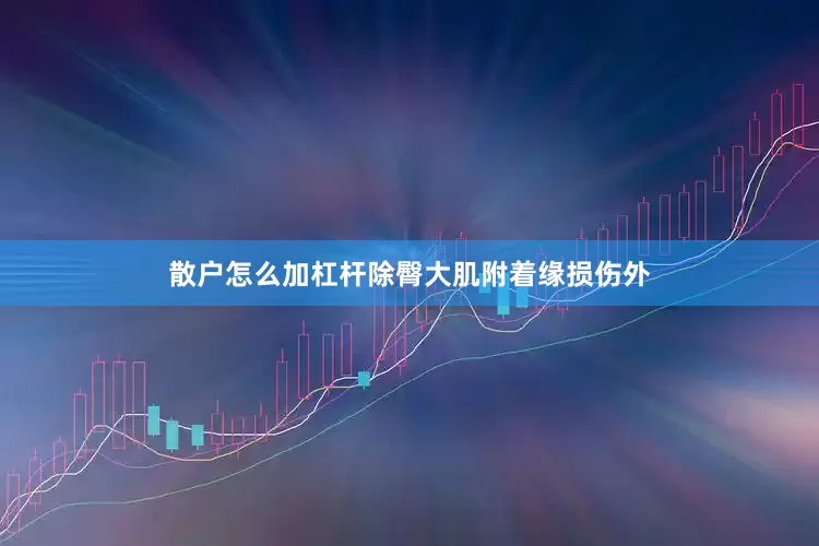 散户怎么加杠杆除臀大肌附着缘损伤外